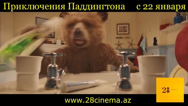 Приключения Паддингтона