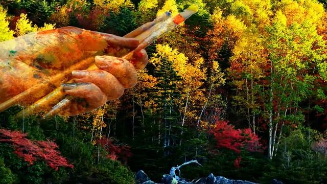 Осенний лес. Александр ГамИ смотреть онлайн