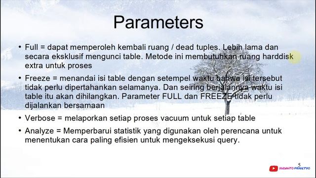 Belajar Database PostgreSQL 37 Vacuum, Analyze & Dead Tuples смотреть онлайн