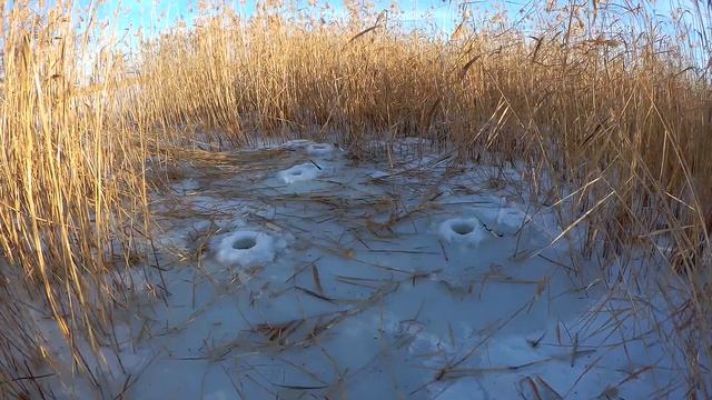 Зимняя рыбалка в Саратовской области. Снова ловим карася. 20.12.2020 г. смотреть онлайн