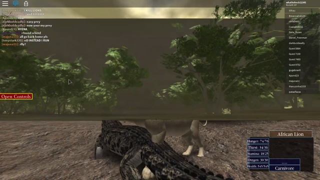 How to : Play as a leopard/lion || Wild Savanna || Roblox смотреть онлайн