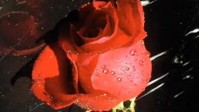 Enrique Iglesias-Hero смотреть онлайн