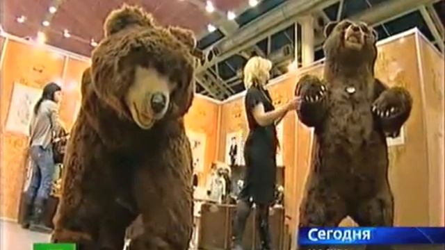 helloteddy смотреть онлайн