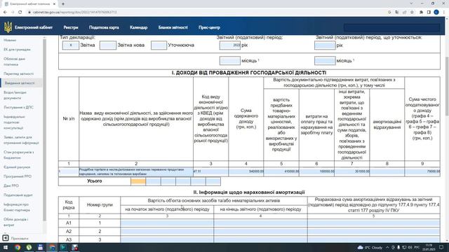 Приклад заповнення декларацiї про майновий стан i доходи для ФОП за 2023 рік. смотреть онлайн