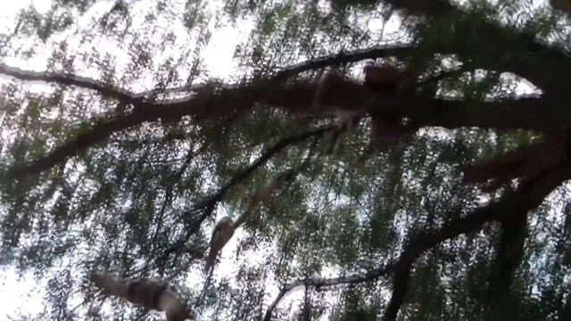 Nice Day смотреть онлайн