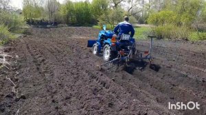 Сажаем картофель минитрактором.