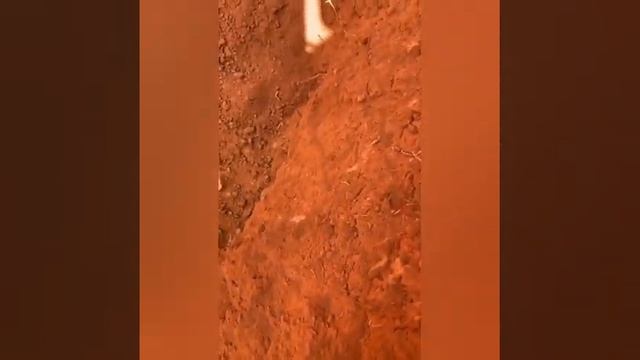 20" x-coils spiral for MINELAB GPZ7000, 36 gramms of gold смотреть онлайн