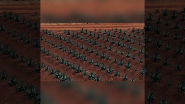 Relaxing beautiful music,positive for the whole day-Relax music, Meditation music, Motivation music смотреть онлайн