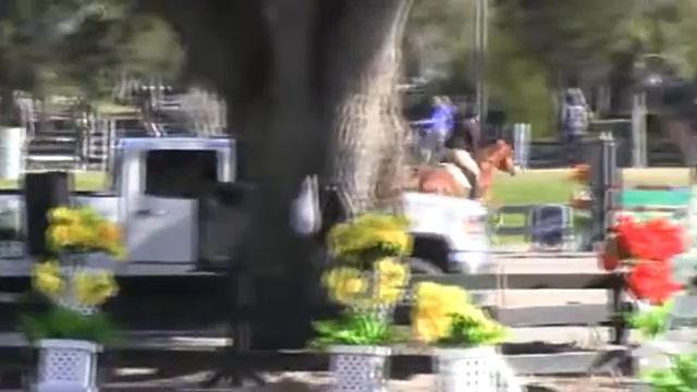 Video of Roc N Groovy ridden by Lisa Goldman from ShowNet! смотреть онлайн