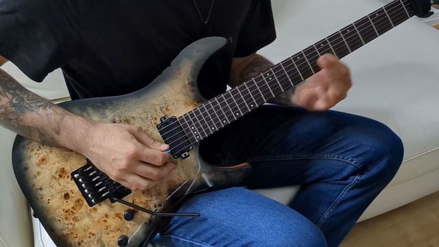Schecter C-6 Pro FR Charcoal Burst смотреть онлайн