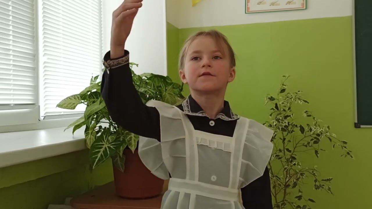 С.Г. Чавайн «Ото». Гумерова Амина Тимуровна. 9 лет смотреть онлайн
