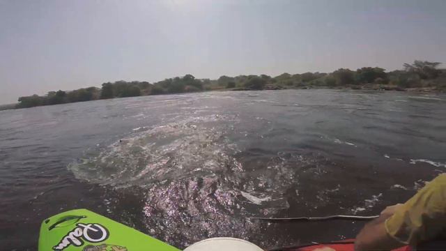Crocodile charge on the White Nile River in Uganda смотреть онлайн