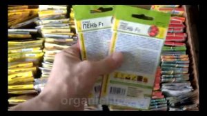 Очень урожайный гибрид. Томат Пень F1