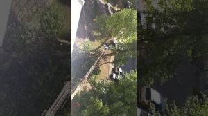 Влог: как пилят дерево с автовышки,эксватор с отбойным молотком