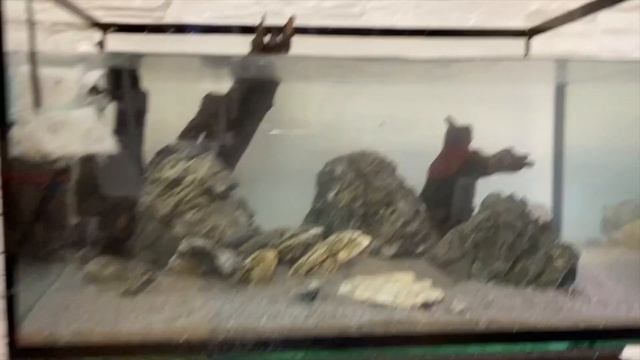 Аква OEGO 2 часть!!! смотреть онлайн