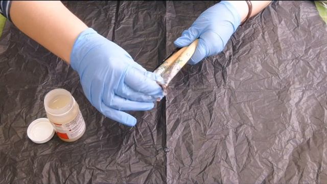 Как отмыть кисти от акриловой краски. Засохли краски, что делать? смотреть онлайн