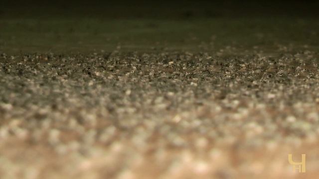 Я покажу тебе Сибирь. Васюганские болота. Part 2. I Will Show You Siberia. смотреть онлайн