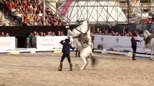 Школа верховой езды в Вене отпраздновала 450-летие (новости) смотреть онлайн