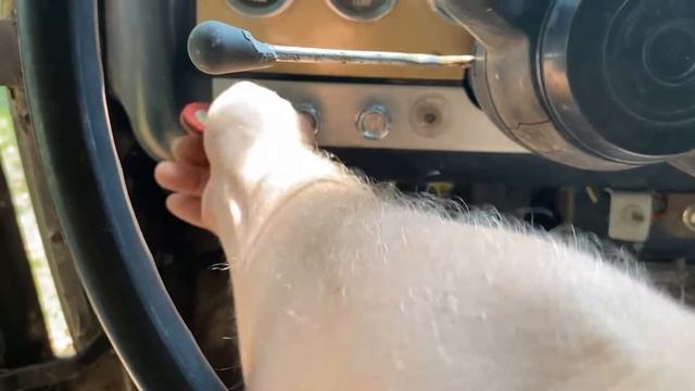 Is it a 1969 or 1970 International Scout? | Sunday Driver смотреть онлайн