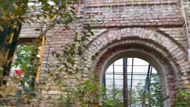 Из зимы в лето! Аптекарский огород. смотреть онлайн