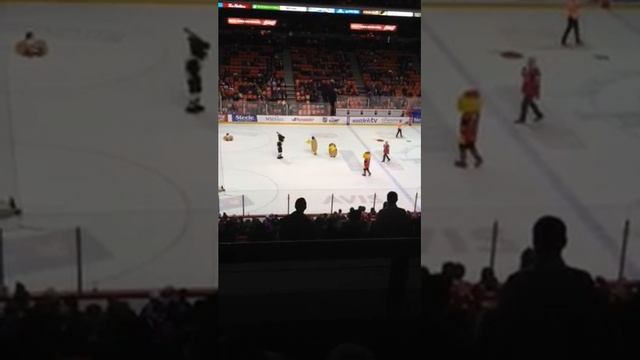 Sandwich building game intermission at Mooseheads game смотреть онлайн