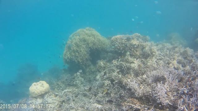 Экшн-камера Gogloo 5. Съемки под водой смотреть онлайн