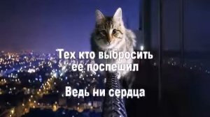 Кошка беспородная (караоке)