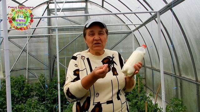 МОЛОКО - СУПЕР УДОБРЕНИЕ. КОГДА И СКОЛЬКО НУЖНО МОЛОКА ДЛЯ ПОДКОРМКИ РАССАДЫ И ОВОЩЕЙ КАК ЧАСТО ПОЛ смотреть онлайн