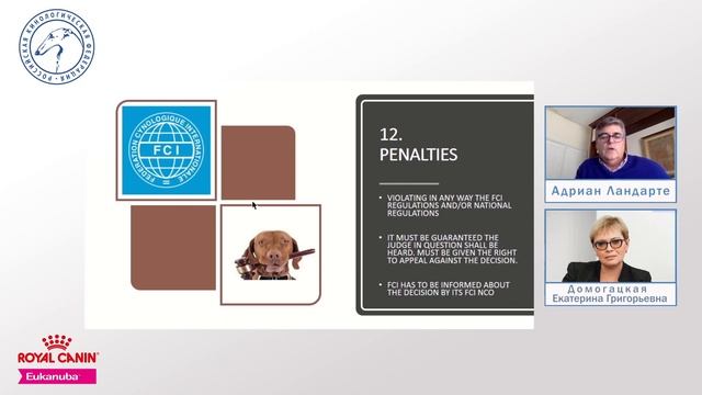 Положение о судьях FCI. Как стать судьей FCI | «Ответственное собаководство онлайн»