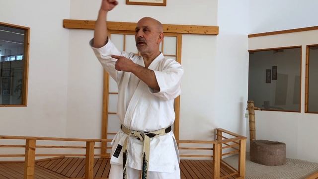 HOW TO: URAKEN UCHI | Shōtōkan Karate Technique by Fiore Tartaglia смотреть онлайн
