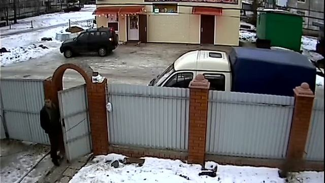 Звонок не работает - дразните собаку)) смотреть онлайн