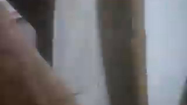 Огурец СВ 4097 посадка смотреть онлайн