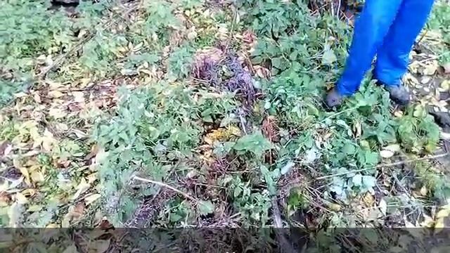 Прочитка дворовой канализации смотреть онлайн