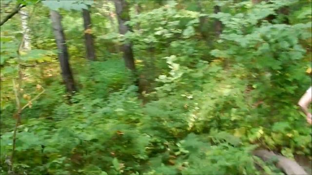 Фильм ужасов девки в лесу:D смотреть онлайн