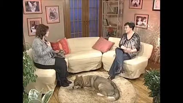 Домашние любимцы Елены Камбуровой смотреть онлайн