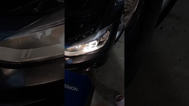 Led d1s вместо штатного ксенона ? заказ 89185682894? гарантия 1 год✅ смотреть онлайн