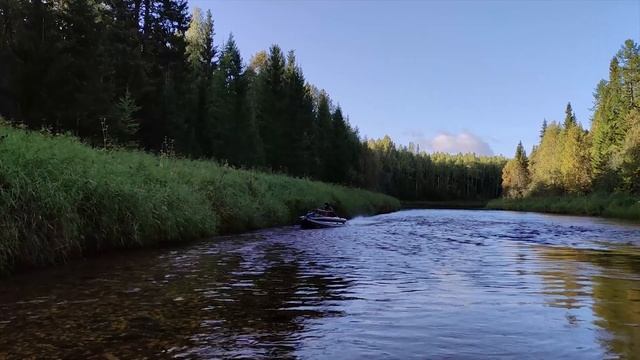 Путешествие на реку Полта. 3 - 12 сентября 2023 смотреть онлайн