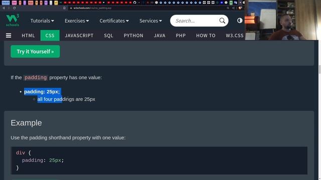 CSS Внутренние Отступы смотреть онлайн