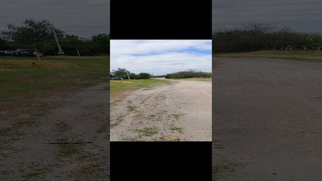 Вежливость