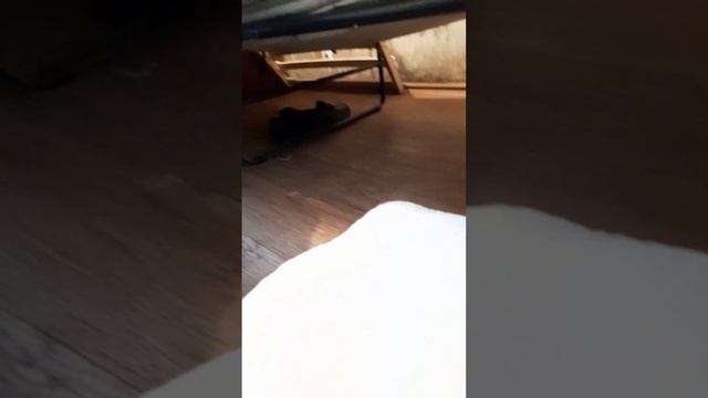 Комната для чужой бабушки. Купили комнату и сделали ремонт. смотреть онлайн