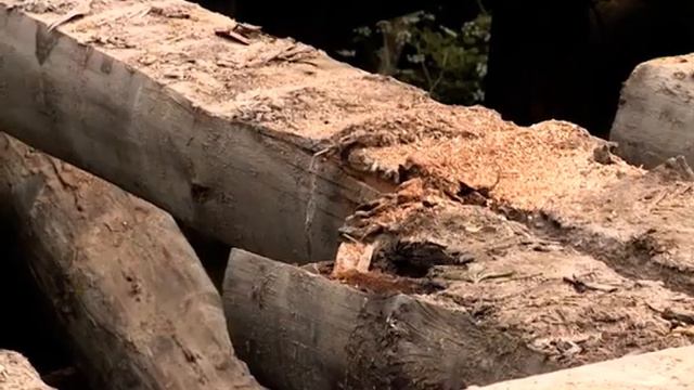 Последствия разрушения моста в Борискове смотреть онлайн