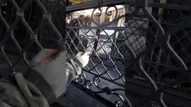 Декоративная патина KOVALI смотреть онлайн