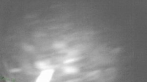 ЛОВЛЯ КАРАСЯ В АПРЕЛЕ | ПОСЛЕДНИЙ ЛЕД | ОЗ.КУРАКЛИ-МАЯН #75