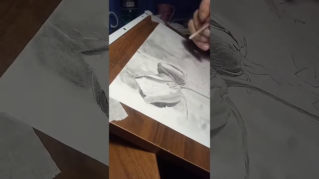 Розы простым карандашом смотреть онлайн