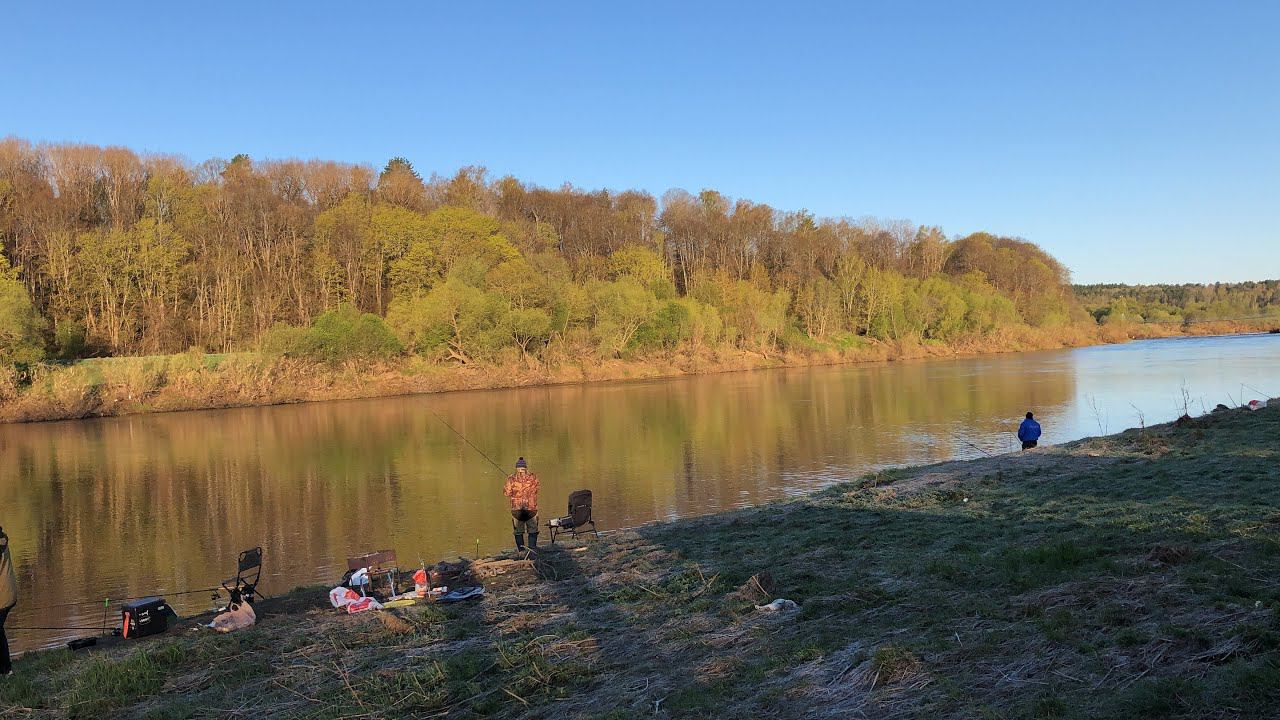 ФИДЕР НА РЕКЕ / Лещ ПОШЁЛ / Рыбалка в МАЕ на Ближней дистанции смотреть онлайн