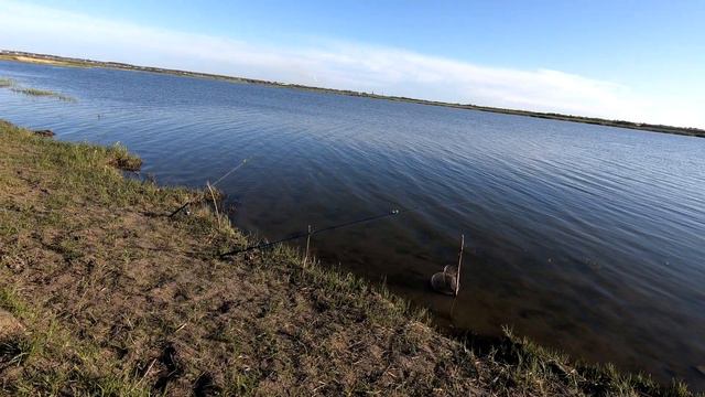 Рыбалка на карася. Июнь 2022 смотреть онлайн