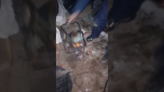 заводим бензопилу после 20ти лет простоя а ещё как поживает щенок Ричи смотреть онлайн