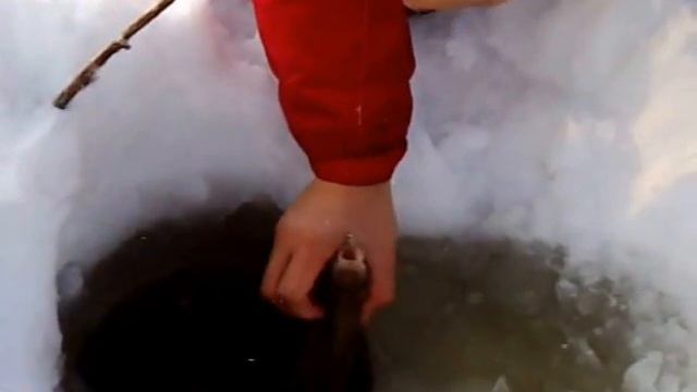 Зимний лещ на Амуре смотреть онлайн