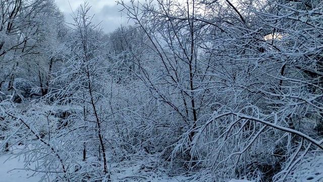 Погода в Крыму, засыпало снегом, река Салгир пополняет запасы воды в Крыму. Крым 2022 смотреть онлайн