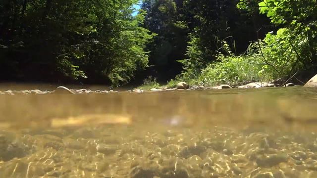 #10 Sounds Under Water. Relax. Sounds. / Звуки Под Водой. Релакс. Звуки. 60 min смотреть онлайн